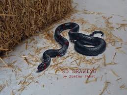 We did not find results for: Seram Lukisan Ular 3d Seperti Hidup