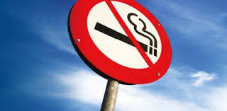 Cancer council australia cancer council victoria palliative care health, health, text, logo, flower png. Cancer Council Queensland Calls For Action On Smoking Loop Hole