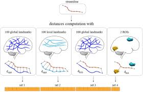 Q.health planning, budgeting and forecasting solution designed for nhs trusts. Classifyber A Robust Streamline Based Linear Classifier For White Matter Bundle Segmentation Biorxiv