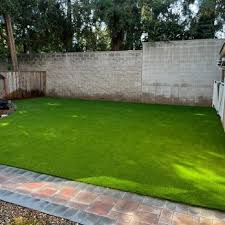 THE NEIGHBORHOOD TURF GUY