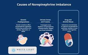 Image result for Norepinephrine