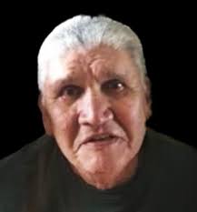 Vincent Dunner Parazoo