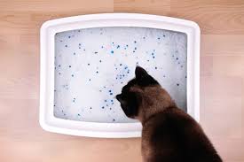 Precious cat ultra premium clumping litter. The 25 Best Crystal Cat Litters Of 2020 Pet Life Today