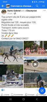 Cheval référence
