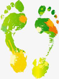 Footprint Footprint Vector Foot Print Png Transparent Clipart Image And Psd File For Free Download Clip Art Clipart Images Vector