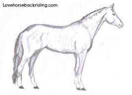 Pin On Drawing Ideas For