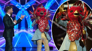 12 celebrity performers wear costumes to conceal identities. Who Is Robin On The Masked Singer Uk Celebrity Clues And Theories So Far Capital