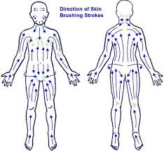 Lymphatic Brushing Chart How To Get The Best Results From