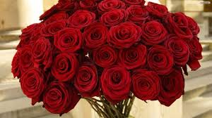 Nothing Says Be Mine Like Long Stem Red Roses Beautiful Red Roses Red Rose Pictures Bunch Of Red Roses