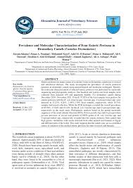 Image result for Balantoides Coli