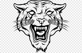 Download 32,000+ royalty free black and white cat vector images. Cat Silhouette Tiger White Tiger Drawing Black Tiger Cartoon Face Hair Tiger Silhouette Cat Png Pngwing