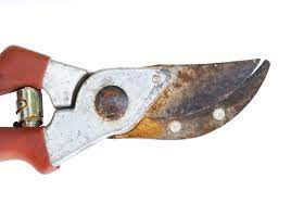 It is common for garden tools such as shears to develop rust, even those that claim to be stainless steel. Can You Renew Rusty Garden Tools Cleaning Rust On Garden Tools