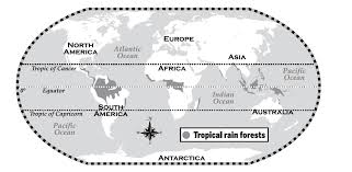 The largest rainforests are in the amazon in brazil (south america), demographic republic of congo (africa). Where Lies The Closest Tropical Rain Forest To Mainland Europe Travel Stack Exchange