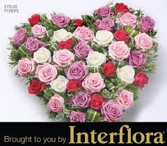 We did not find results for: Funeral Flowers Mortons Funeral Directors