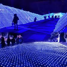 Check spelling or type a new query. 6 4m 750 Led Tree Mesh Ceiling House Wall Fairy String Net Light Twinkle Lamp Garland For Festival Christmas Holiday Decoration Light Wavelength Garland Christmas Lightslight Blue Dress Shirt Aliexpress