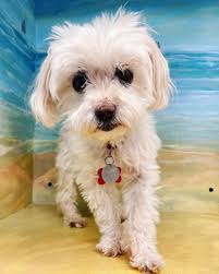 My brother Benji left us to soon.