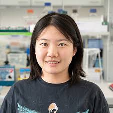 Georg-Speyer-Haus: Research Group Dr. Zuzana Tatarova