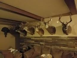 Want to create a hunting trophy room you can proudly show off to friends and neighbors? Basement Wall In Ky Deerhunting