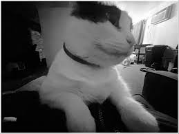 Well im going back to school!! If im gonna own a business might as well  learn how to run one🤓