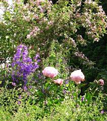 Gartenberatung Blutenmehr Bepflanzungsplanung Gartenberatung Und Staudenbeete Online