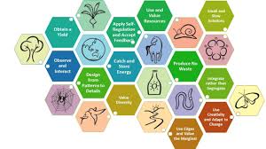 Learning Landscapes Empowering Children In Learning Critical Life Skills Hilltown Families Life Skills Farm Activities Permaculture Principles