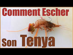 Epingle Par Dressler Sur Peche En Mer Peche En Mer Peche Tutoriel