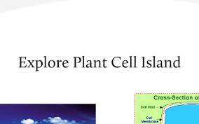 We did not find results for: Travel Brochure For A Cell By Laura Metts By Jill Metts On Prezi Next