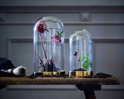 Image Result For Glass Dome Ikea Glass Domes Eclectic Decor Inspiration Ikea