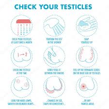 What are testicular cancer symptoms and signs? Testicles Self Exam Testicle Cancer Symptoms And Monthly Examination Infographics Vector Icon Set I Illustration For Flyers Brochures Web Resources Health Centers 197001512 Larastock