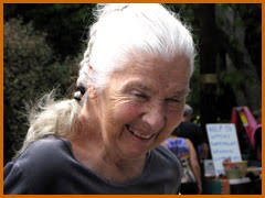 Residents of Beverly Glen » Glen Fair