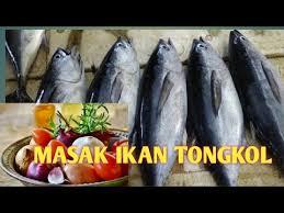 Resep roti unyil beraneka rasa enak. Cara Masak Ikan Tongkol Segar Bumbu Balado Simple Ala Rumahan Sederhana Youtube