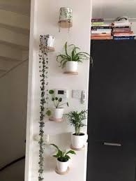 10 Amazing Creative Small Apartment Decorating Ideas Basementapartmentideas Small Apartment Decorating House Plants Decor Plant Decor