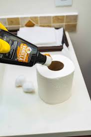 Make the hallway smell good. 23 Amazing And Easy Bathroom Smell Hacks And Tricks Country Diaries