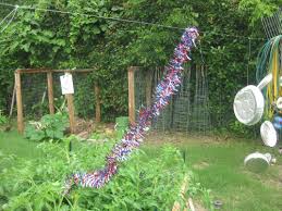Fishing line to keep birds away. Protecting Your Tomatoes From Mockingbirds Finegardening