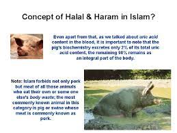Everything is halal (permissible) except for those things that are specifically forbidden. Concept Of Halal Haram In Islam Bob Asked