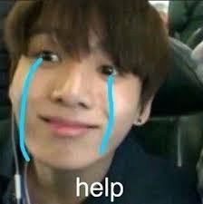 fernanda calixto (@calixtomz)