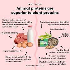 Body Health Transformation Kittyblomfield Posted On Instagram Protein102 Animal Proteins Vs Plant Proteins Ma Plant Protein Animal Protein Body Health