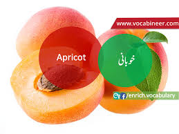 Fruits Vocabulary With Urdu Hindi Pictures Vocabulary In Urdu Fruits Names With Pictures Fruits Fruits Name With Picture English Vocabulary Esl Vocabulary