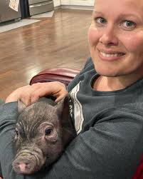 Where can I get little pigs for training?