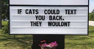 30 Of The Funniest Cat Jokes Vet Clinics Put Up On Their Signs Bored Panda Did you know that having a good sense of humor is very important when it comes to social interaction?