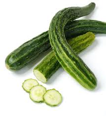 Image result for Cucumis sativus