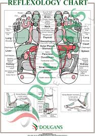 A1 Reflexology Chart