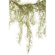 Green Spanish Moss Garland Hobby Lobby 343285 Moss Wedding Decor Spanish Moss Moss Decor