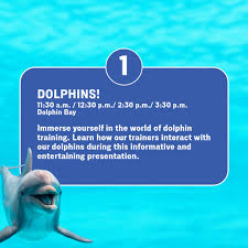 Texas State Aquarium