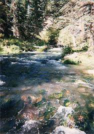 Hot days are upon us, and it's time to find the most exciting ways to cool off. Mammoth Springs