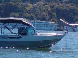 Electric trolling motors are quite popular but before deciding on one, a detailed account of top sellers, their features, and shortcomings are highly recommended and you'll find this piece the most informative in absence of any other credible resource online so far. Trolling Motor Brands Best Trolling Motor Brands And Contact Info Dc Trolling Motor