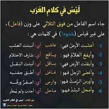 ليس في كلام العرب Beautiful Arabic Words Arabic Words Arabic Language