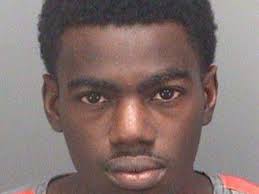 Two tax fraud sentences in two days earns Tampa man 14 years