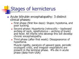 Image result for Kernicterus