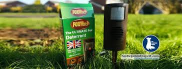 If you have ever come across a fox in your garden, particularly if you have children with you. Fox Repellent Expert Posts Facebook
